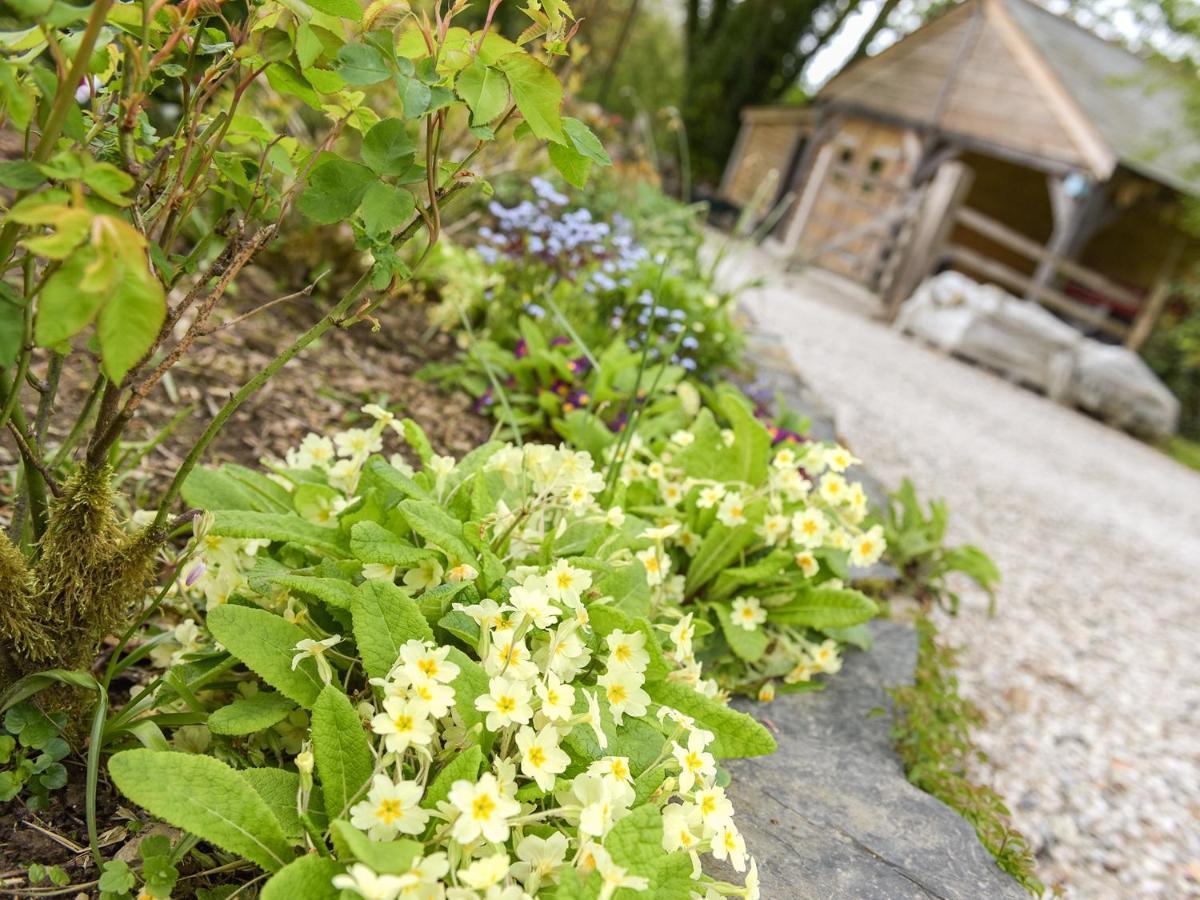 Mimi'S Cottage Ліскард Екстер'єр фото